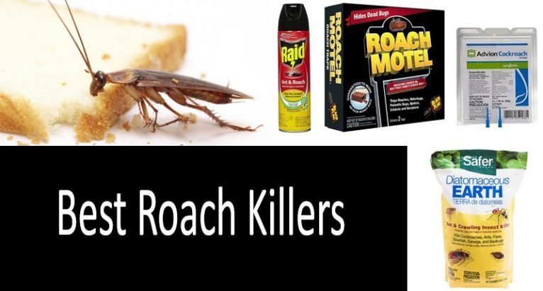 7 Best Roach Killers Powders and Sprays in 2022