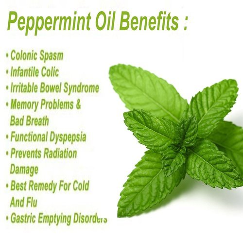 Buy Peppermint Oil