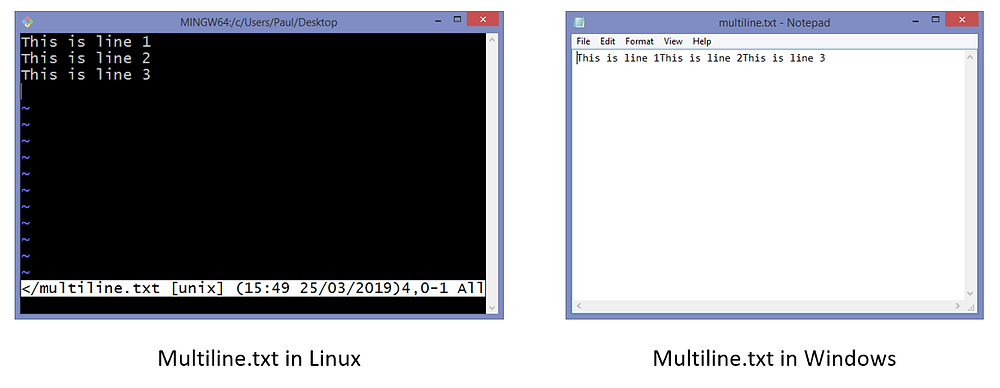 Remove Windows Line Endings in Linux